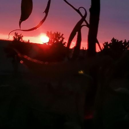 Ferienwohnung Am Haffberg Neverow Εξωτερικό φωτογραφία